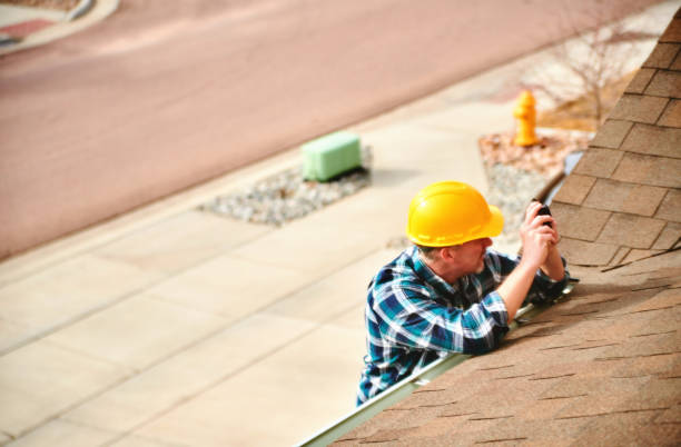 Best Roof Gutter Cleaning  in Manche Village, CA